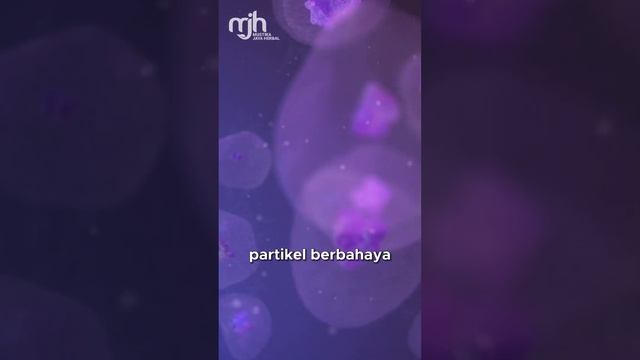 DAMPAK NEGATIF POLUSI UDARA❗️❗️ смотреть онлайн