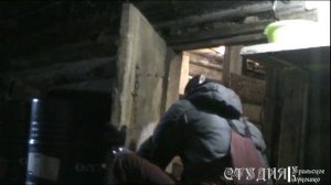 Зимний сарай для скота