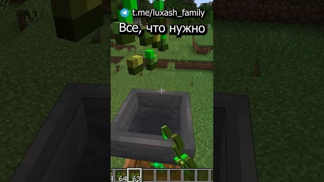 Это лучшая утилизация семян!!! смотреть онлайн