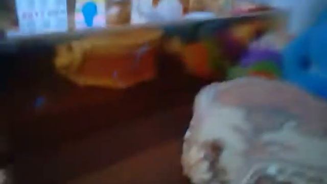 Утро моего кролика пушка😝 смотреть онлайн