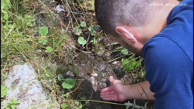 Андраник Ашуг-Атоян смотреть онлайн