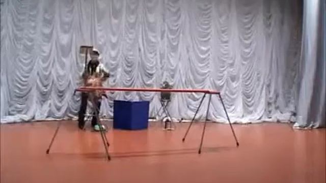 Шоу с обезьянками смотреть онлайн