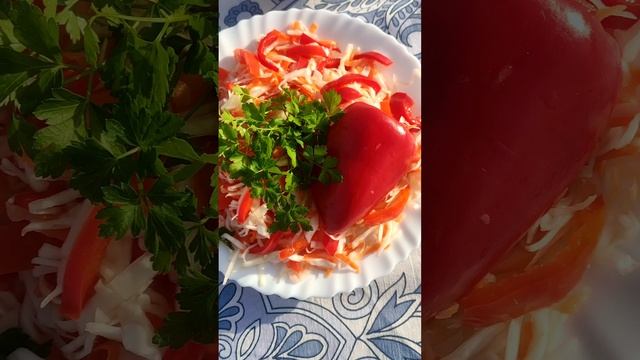 КВАШЕНАЯ КАПУСТА С БОЛГАРСКИМ ПЕРЦЕМ И МОРКОВЬЮ ЗА ТРИ ДНЯ /ЗАГОТОВКА БЕЗ УКСУСА НА ЗИМУ смотреть онлайн