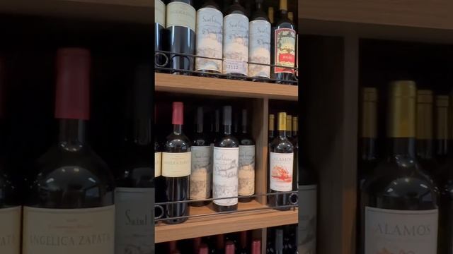 Vinhos na Argentina смотреть онлайн