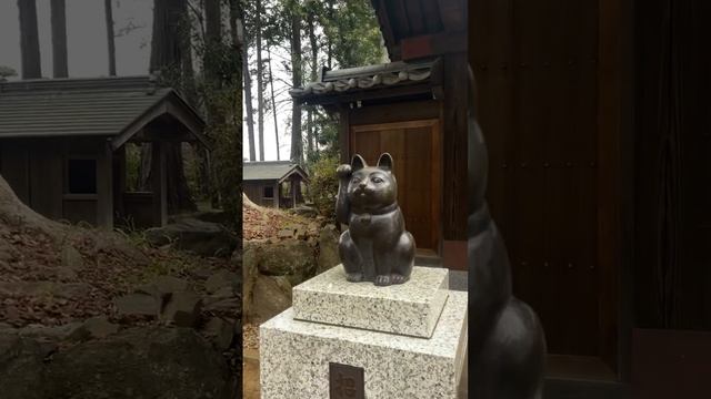 Статуя котика, который приносит удачу, Япония