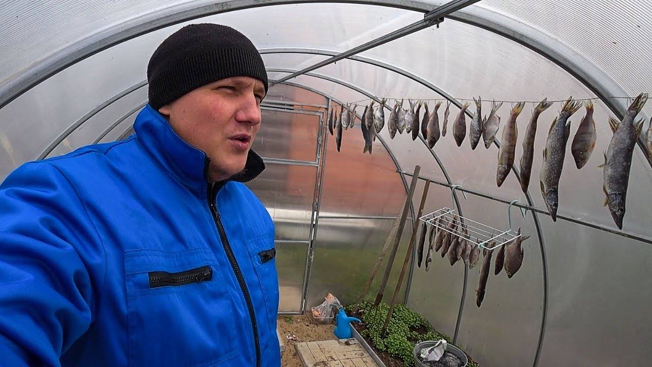 Рыба появилась прямо в теплице, удалось поймать девчонок смотреть онлайн