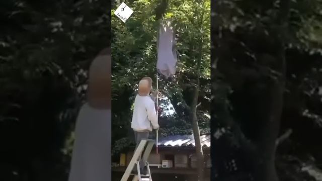 Примерно так накачивают губы ☝️✌️😉😂😂😂 смотреть онлайн
