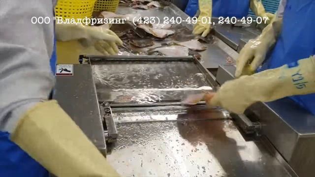 Шкуросъёмная машина CH-400 (ООО "Владфризинг") смотреть онлайн
