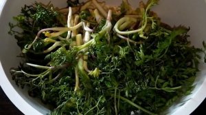 Շուշանի(Ղմի) թթվի պատրաստումը/  /Как мариновать Шушан /Маринад из съедобных трав