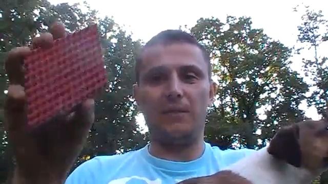 Дрессировка Цезаря День 14 Снаряжение смотреть онлайн