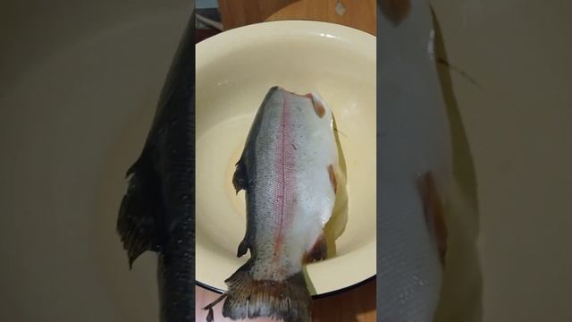 Love-Inspired Cuisine