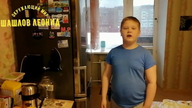 Опыт по Окружающему Миру. 3 класс смотреть онлайн