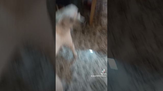 это барон смотреть онлайн