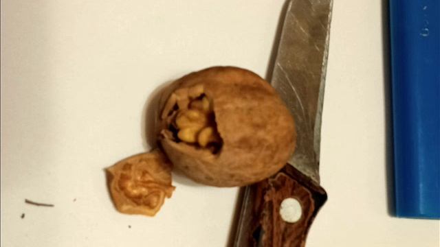 Очищаем грецкий орех без щума смотреть онлайн