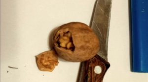 Очищаем грецкий орех без щума