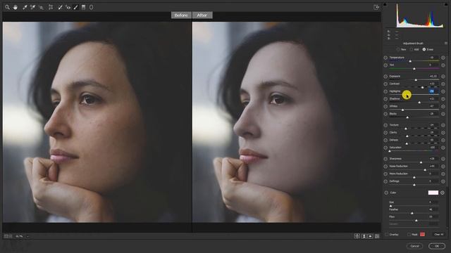 Lesson 16 Adjustment Brush | Camera Raw Tutorial смотреть онлайн
