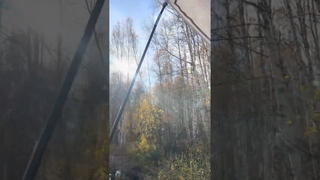 Все подробности в моем телеграм канале https://t.me/al_kashtv смотреть онлайн