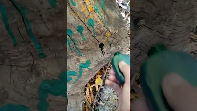 продажа сквизеров и заправы смотреть онлайн