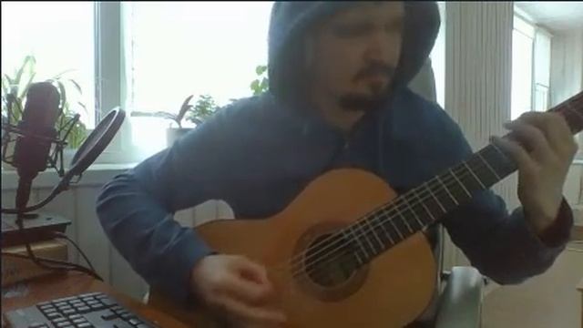 Гитарист Ваенги