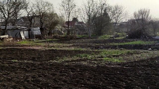 Дом на юге. Что посадили на огороде. Переустановили садовую арку. смотреть онлайн