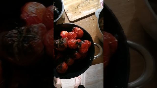 Овощной шашлык смотреть онлайн