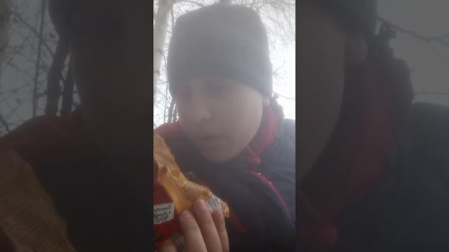 Экстренное включение!!!!!!!обзор на новые кириешки снекиты!!!!#кириешки #гангстер #нн #бабушка #а4 смотреть онлайн