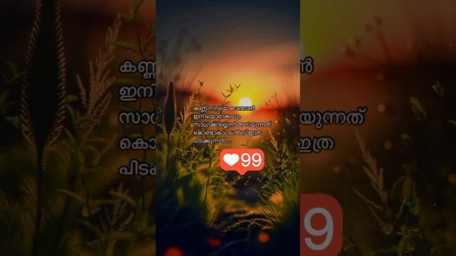 കണ്ണ് നിറയ കണ്ടില്ലെങ്കിൽ എന്താ കൽബു നിറച്ചു കൊണ്ട് നടക്കുന്നില്ലേ നിന്നെ നാൺ #ഫോർയോര്പാങ #trending