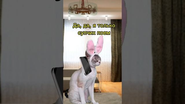 Котяра ограбил суп#cat #рек #мем #youtube #viralvideo смотреть онлайн