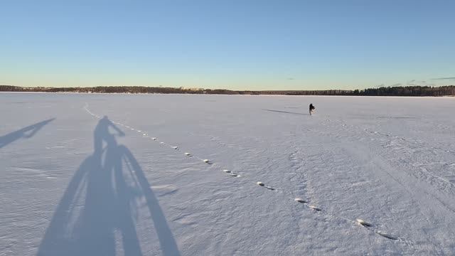 Едем с другом по льду озера Сенеж из Солнечногорска в Тимоново.Хаски нас по прежнему сопровождает. смотреть онлайн