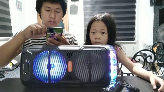 portable Bluetooth speaker 6.5" (GREATNICE) смотреть онлайн