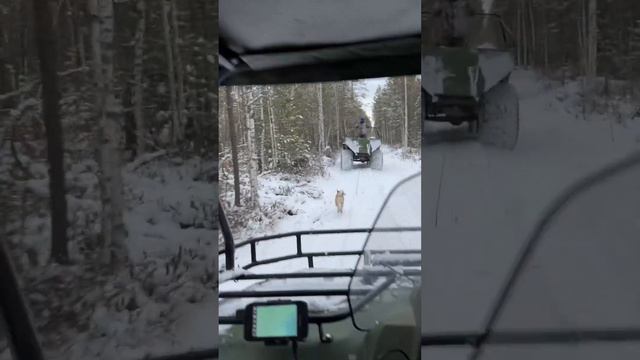 ❄️❄️ смотреть онлайн