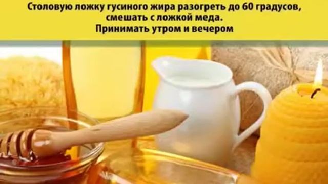 Полезные свойства гусиного жирв смотреть онлайн