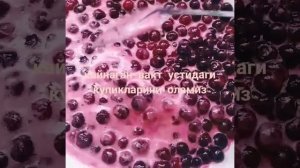 Олчадан мураббо тайёрлаш