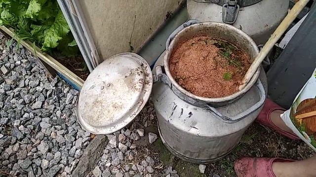 Травозакваска для растений смотреть онлайн