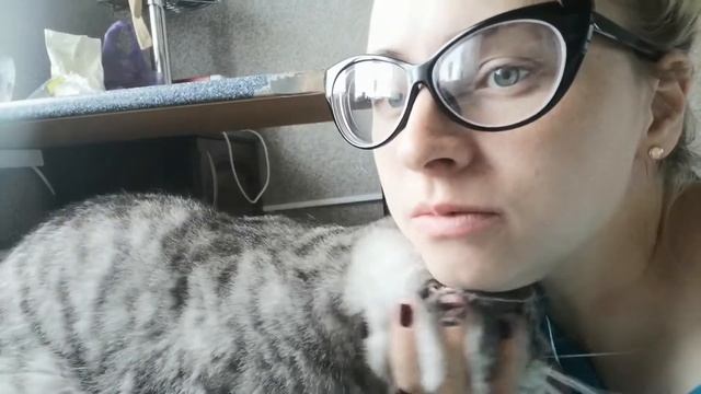 Влог\тыквенные кексы\Фасолевый супчик\опять изменилась смотреть онлайн