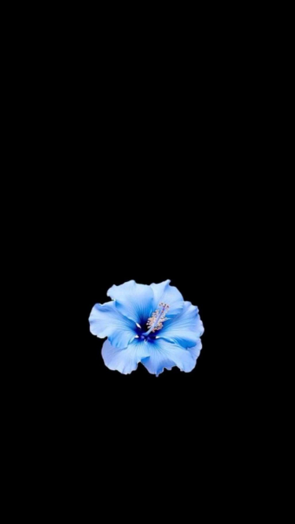 ехехе смотреть онлайн