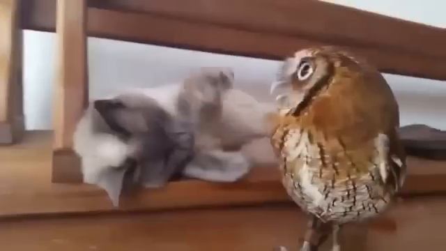 Такие друзья тоже бывают) смотреть онлайн