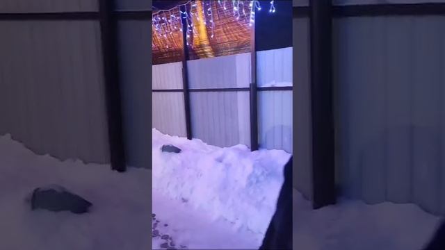 Зудилово, Алтайский край. Сказочно красиво!!!🎄🙏🙏🙏 смотреть онлайн