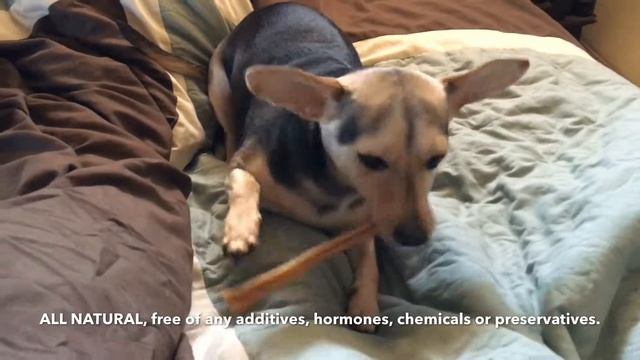 Wyldlife Pets Bully Sticks & Beef Tendons for Dogs Combo Pack смотреть онлайн