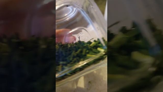 Зеленый борщ из микрозелени по рецепту Зеленого шефа! Это очень вкусно! 🍵 #greenchief смотреть онлайн