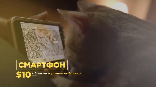 Биномо- ты можешь позолить себе всё! смотреть онлайн