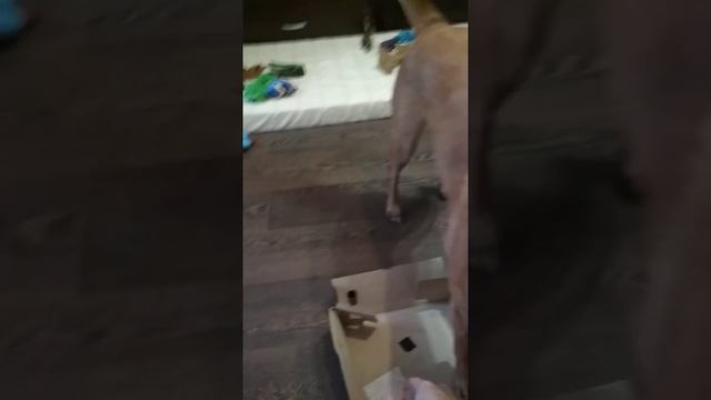 Морс игрушки коробка смотреть онлайн