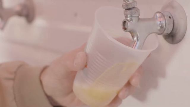 Grill and Chill 2019 смотреть онлайн