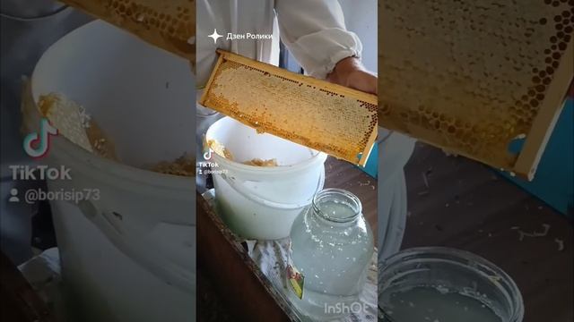 качка мёда 🍯🐝#shorst смотреть онлайн