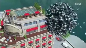 Леди Баг и Кот Нуар. 1 Сезон. 5 Серия Мистер Голубь