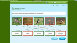 Птицы живут... А где они живут | Окр. мир 1 класс "Где живут птицы?"