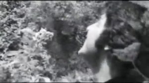 АХМАД ЗОХИР! New videos song!