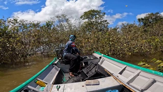 USEI A TÉCNICA PRIMITIVA DO RIBEIRINHO. Pescando com isca nativa da Amazônia. смотреть онлайн