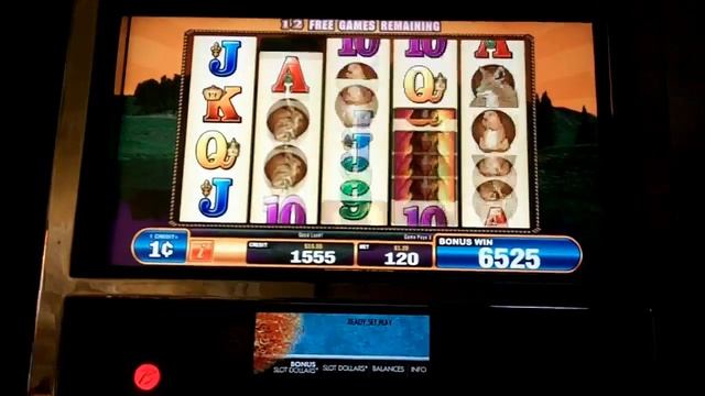 Bally - Mustang Slot Bonus WIN смотреть онлайн