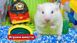 Хомяк попал в ЛАБИРИНТ ИЗ ЛЕГО 🐹 Видео для детей